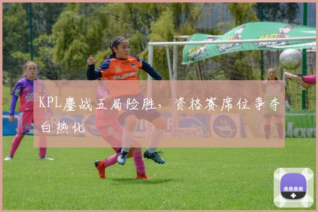 KPL鏖战五局险胜，资格赛席位争夺白热化 - 南宫28图集